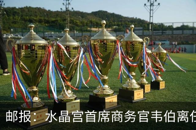 邮报：水晶宫首席商务官韦伯离任，将出任卢顿总经理